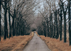 Пропавшую 78-летнюю старушку нашли мертвой в Воронежской области