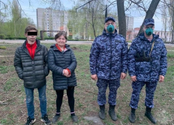 Свора бродячих собак едва не разорвала прохожих в Воронеже