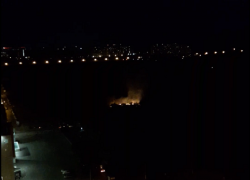 Пожар в яблоневом саду попал на видео в Воронеже