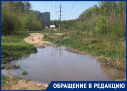 Жительница Воронежа рассказала о фекальных атаках на Нагорную дубраву