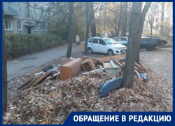 Стихийная помойка из мебели и гнилых листьев возмутила воронежцев 