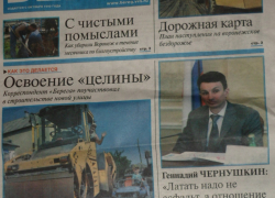 Городской бюджет Воронежа потратил миллион рублей на пиар Чернушкина?