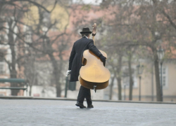 Двое воронежцев украли из дома культуры контрабас 