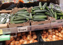 Золотые огурцы: почему воронежские овощи становятся деликатесом