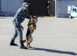 Стало известно об обысках в мэрии Воронежа