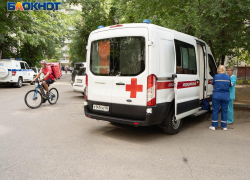 «Дружеский» обмен ударами трубой устроили в Воронеже, но победителей в нём не оказалось