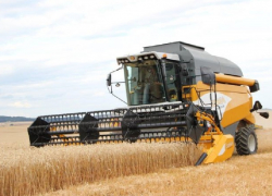 Комбайнер насмерть задавил рабочего на воронежском поле