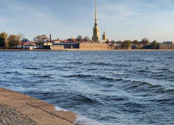 Воронежец пропал в Санкт-Петербурге во время заплыва через Неву