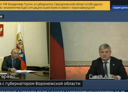 Владимир Путин послал Александра Гусева в Минтранс