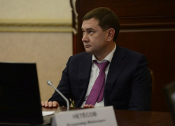 Сколько миллионов получил главный единорос Владимир Нетёсов  за годы руководства облДумой 