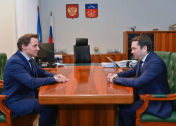 За что мурманский губернатор Чибис поздравил мужа воронежского депутата Кулешовой