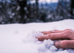 Воронежец скончался от обморожения, заблудившись в лесу