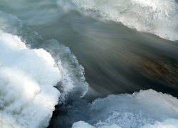 В Воронежской области школьница едва не утонула в Дону