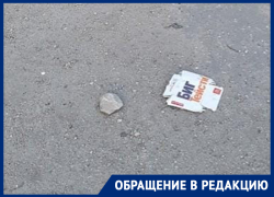 Неприглядную сторону любви к «Макдоналдсу» продемонстрировали воронежцы