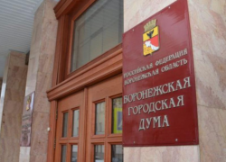 В гордуму внесена инициатива о возврате прямых выборов мэра Воронежа
