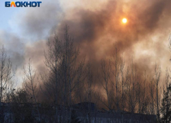 Особый противопожарный режим ввели в Воронежской области