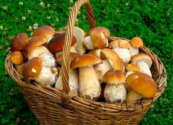 Грибы убили еще одного человека в Воронежской области