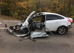 Последствия массового смертельного ДТП попали на фото в Воронежской области 