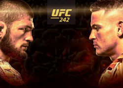 Бой Хабиб – Порье покажут в кинотеатрах Воронежа 