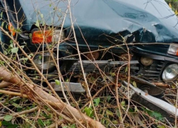 Двух женщин госпитализировали после столкновения машины с деревом в Воронежской области
