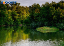 Многодетную мать осудили за гибель дочери в воронежском пруду