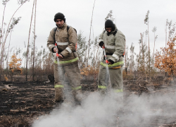 Огненное бедствие спровоцировало ужесточение противопожарных мер в Воронежской области 