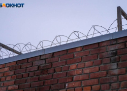 За финансирование террористов воронежцу светит 15 лет тюрьмы
