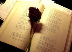 В Воронеже пройдут Кольцовско-Никитинские дни поэзии и искусства