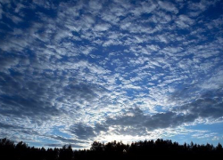 К концу выходных в Воронеже закончатся дожди и станет еще теплее