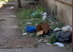 Воронежцы увлеклись выбрасыванием мусора из окон