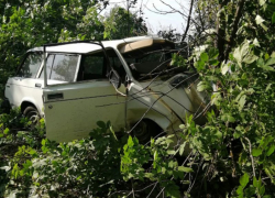 В столкновении легковушки с деревом погиб водитель в Воронежской области