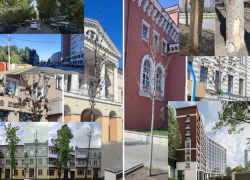 Итоги 2025 года в экологии, благоустройстве и застройке Воронежа