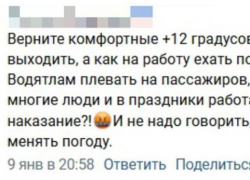 Жительница Воронежа потребовала у мэра «вернуть» +12 градусов