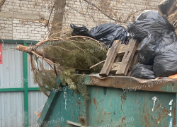Зима близко: воронежцы заметили у мусорки запоздалую елку