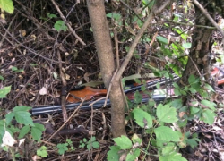 Сейф с огнеопасным содержимым довел воронежцев до уголовного дела