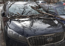 Первой жертвой воронежского шторма стал автомобиль KIA