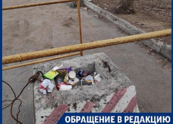 Символ Воронежа люди превратили в помойку