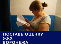 Парад коммунальных аварий и астрономические суммы на ОДН стали главными проблемами воронежского ЖКХ: итоги 2016 года