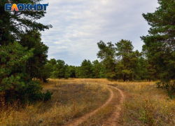 Под Воронежем нашли тело мужчины с разноцветными глазами