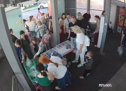 ТРЦ «Московский проспект» объяснили ситуацию с акциями по пристройству животных