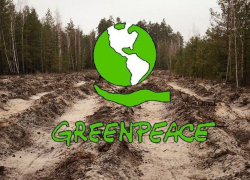 По ситуации в заказнике «Воронежском» российский «Greenpeace» обратится в Генпрокуратуру