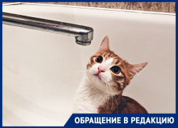 Сидящих без отопления и горячей воды воронежцев футболят по инстанциям