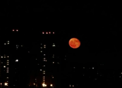 Кроваво-красную луну записали на видео в Воронеже