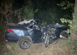 Воронежец вылетел в кювет и разбился о дерево на трассе М-4 «Дон»