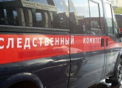 Директор воронежской школы ответит за смерть 8-летней девочки