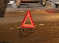 Два пожилых пешехода погибли под колесами иномарки под Воронежем