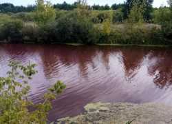 В цвет крови окрасился водоём в Воронежской области