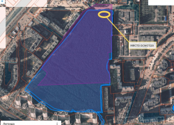 Воронежцы помогли спасти сосны в «Северном лесу»