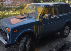 "Ночной мститель" облил краской автомобиль в Юго-западном районе Воронежа