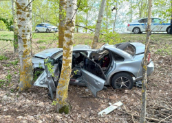 Фото с места смертельного ДТП в кювете показали под Воронежем